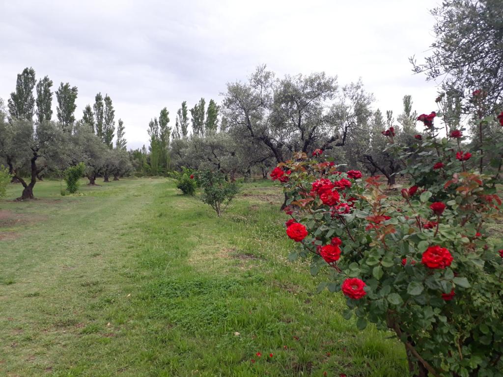 Casa de Campo Las Olivas room 4
