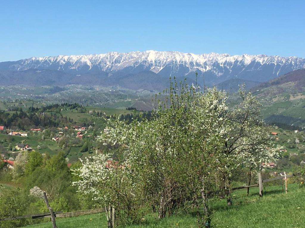 Casa de la Bran room 1