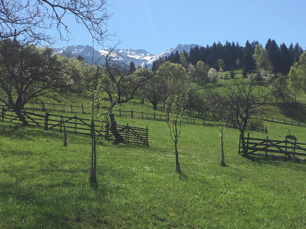 Casa de la Bran room 4