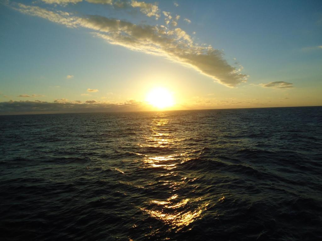 Casa de Vacanta Pravdencu room 1