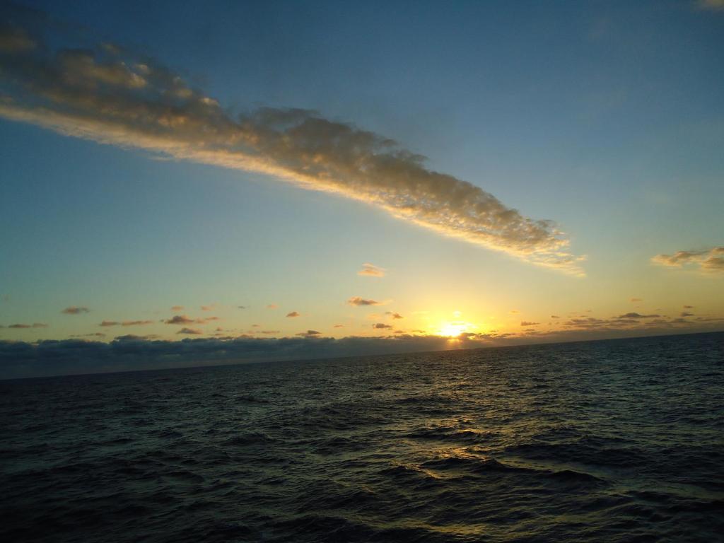 Casa de Vacanta Pravdencu room 2