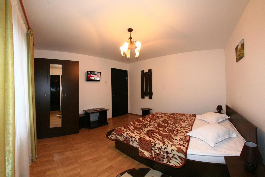 Casa dintre Văi room 2
