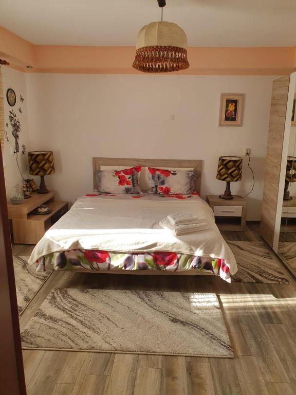Casa Doina room 2