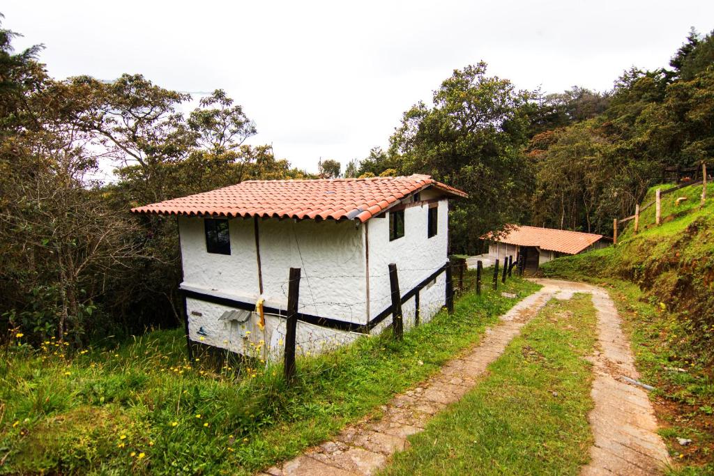 Casa Floreser room 5