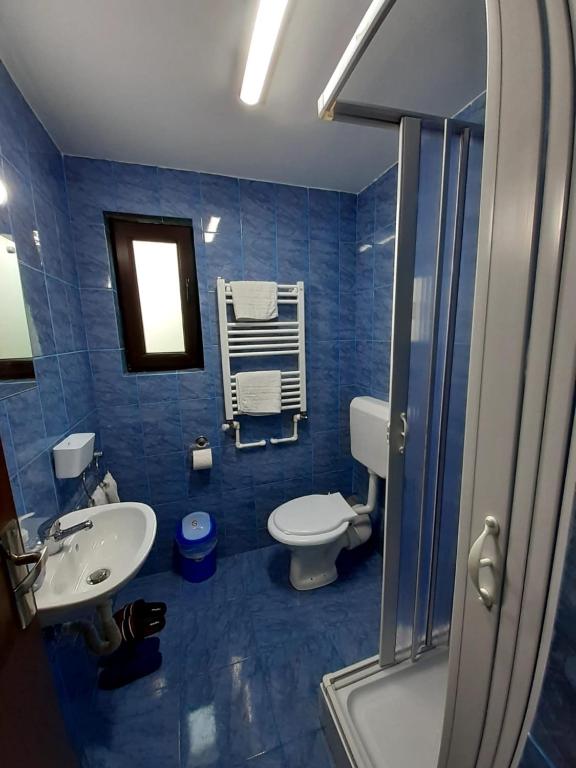 Casa Haiducilor room 2