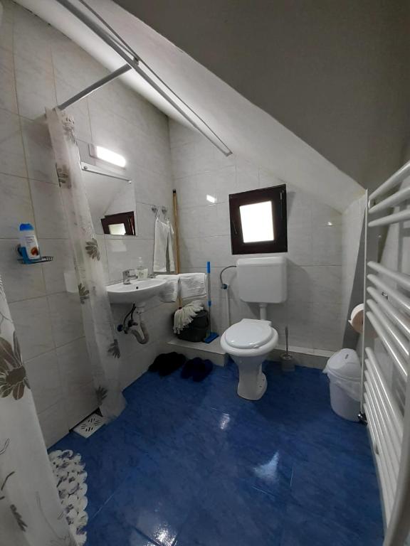 Casa Haiducilor room 6
