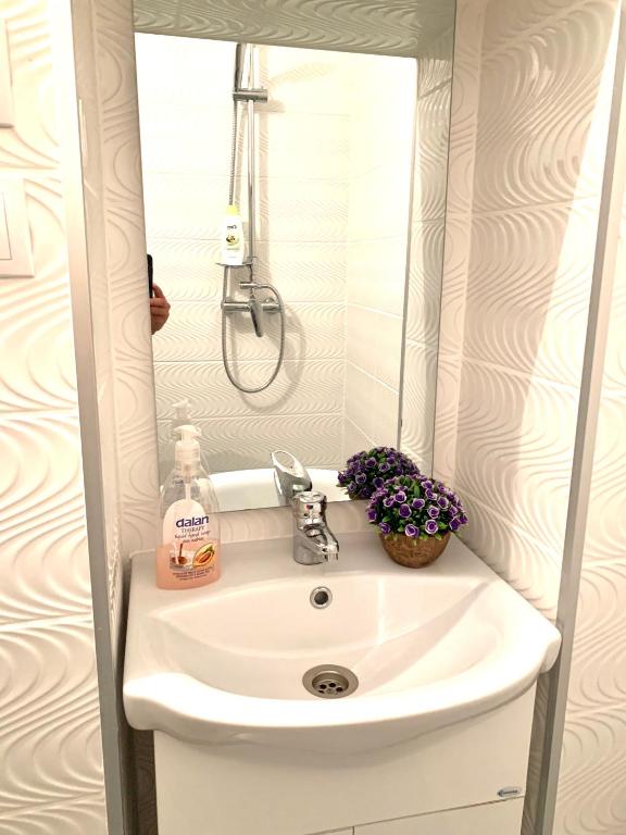 Casa Iris Center room 6