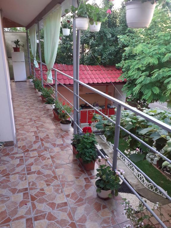 Casa Iza room 1