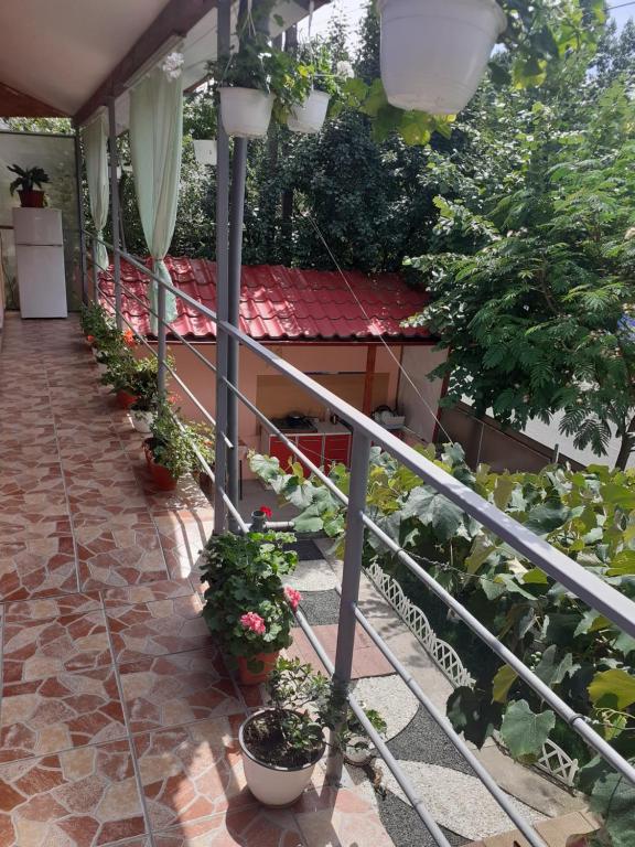 Casa Iza room 5