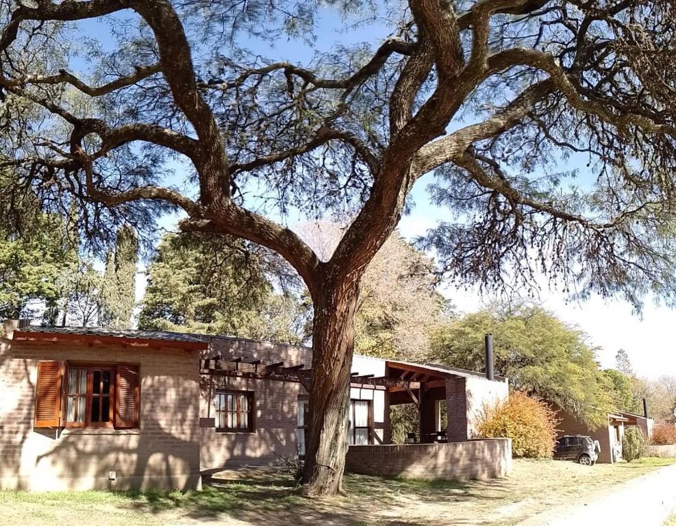 Casa Las Magnolias room 5