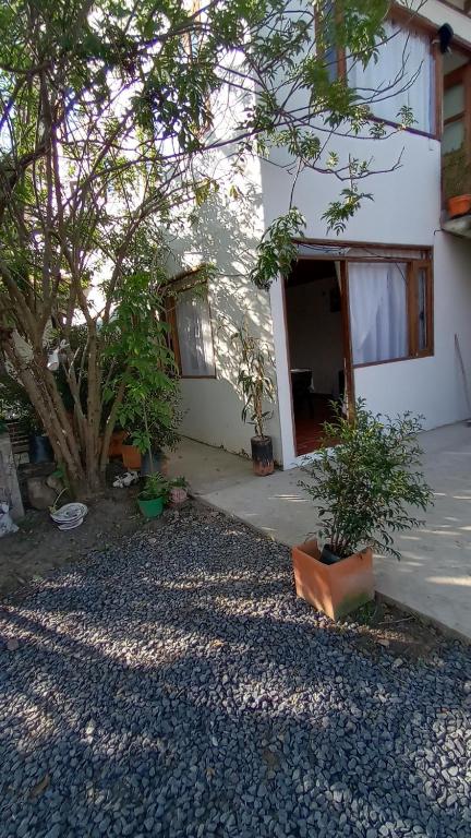 CASA LEWANA room 1