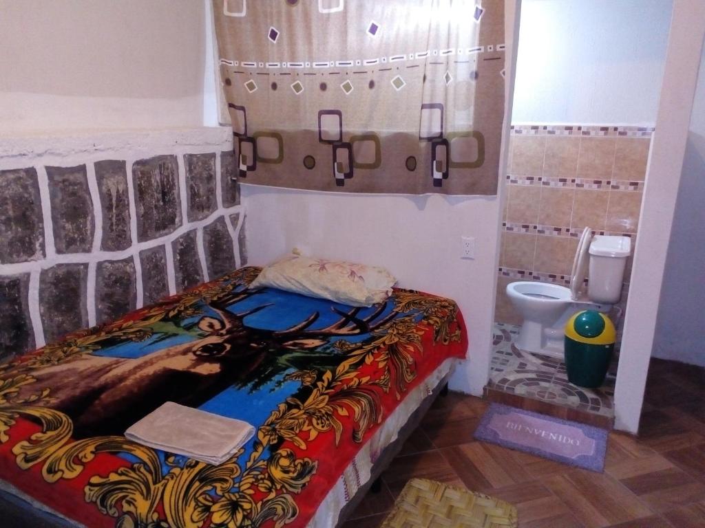 Casa LLEMO room 6