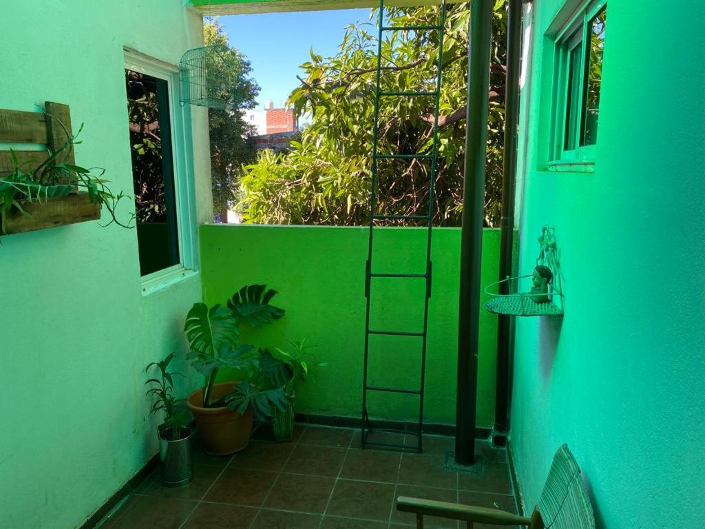 Casa Mágica room 4