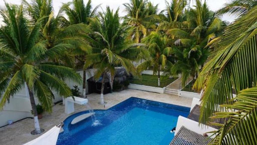 Casa Margarita Hotel And Paradise room 5