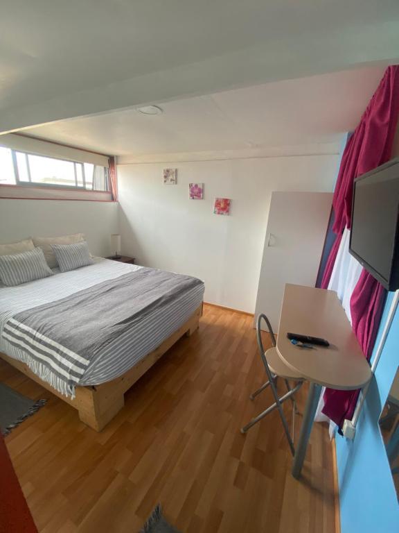 Casa Marina room 6
