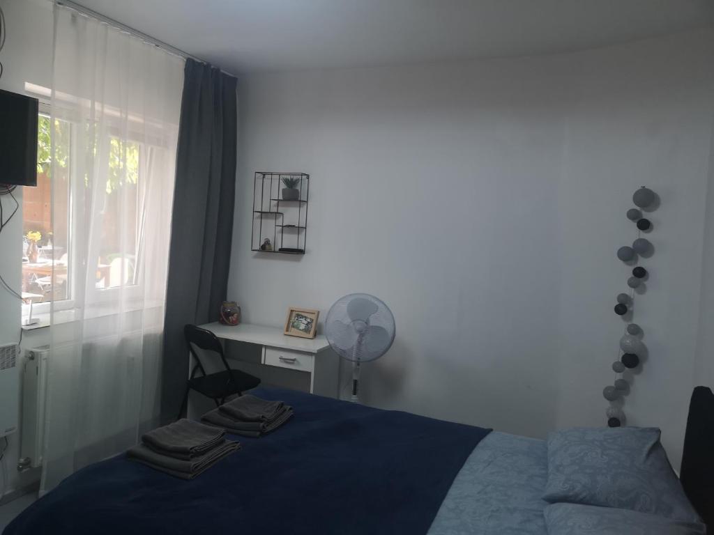 Casa Miron Unirii room 4