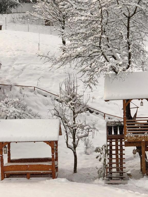 Căsuța din cireș room 4