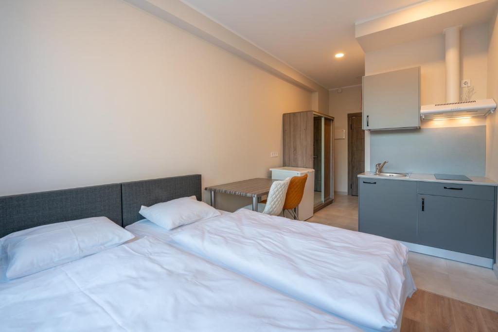 Centra Expresis Apartment room 1