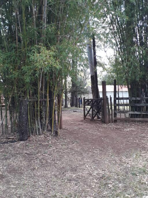 Cerro Corá - Finca Don Ramón room 5