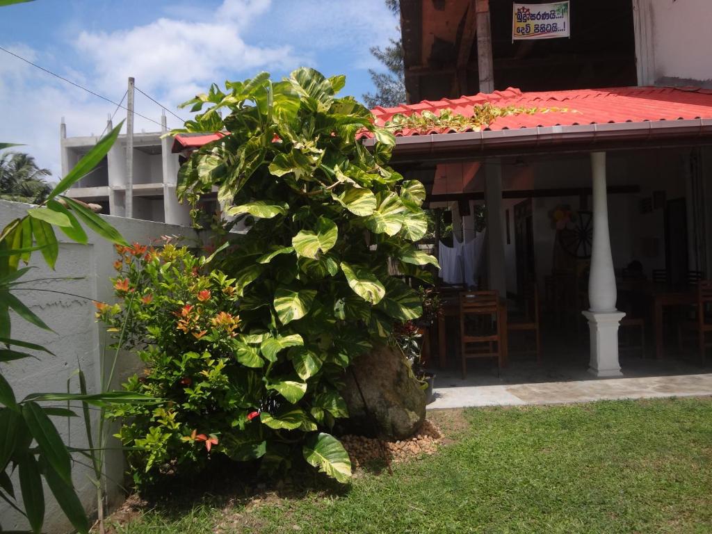 Ceylon Surf Guest and Restaurant room 2