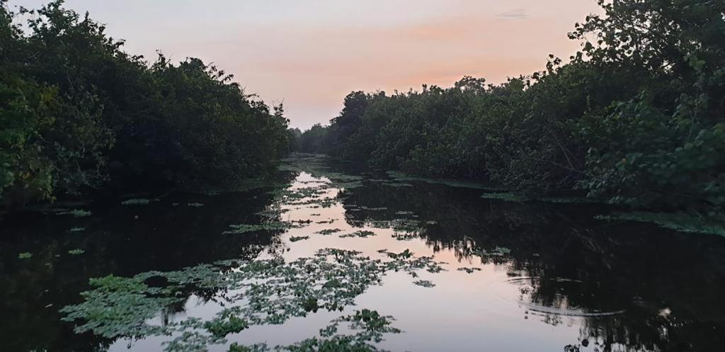 Chinuka Villa room 5