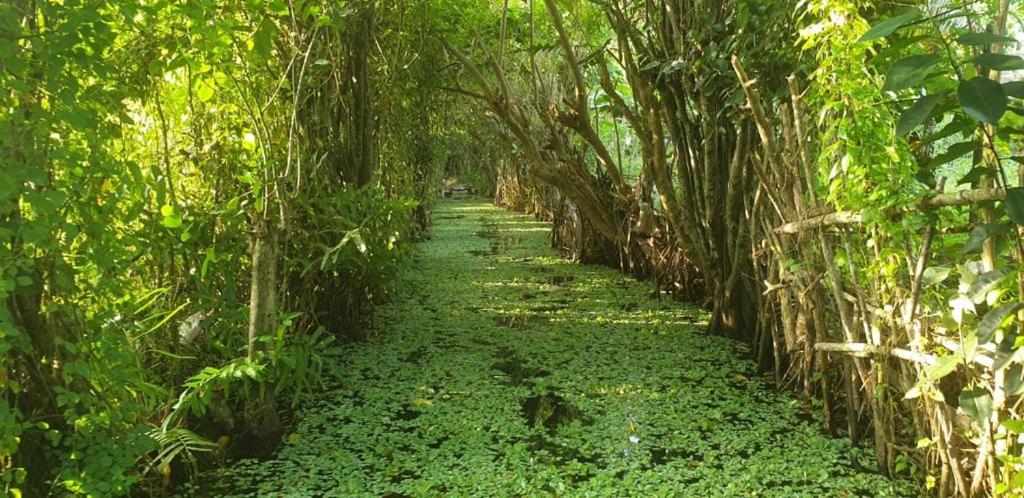 Chinuka Villa room 6