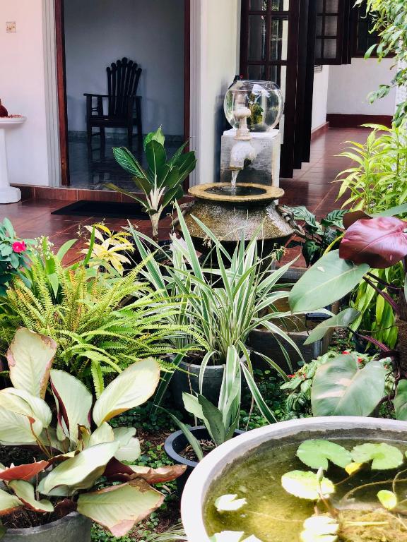 Cinnamon Walauwa room 3