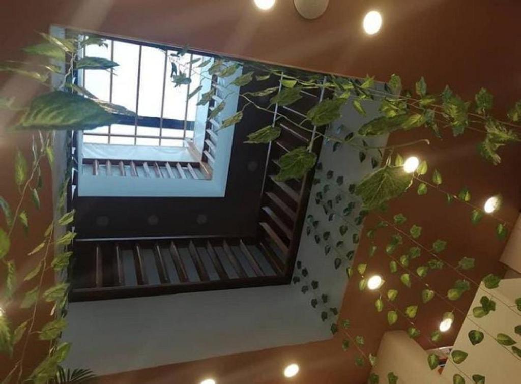 CL-6 HABITACION DOBLE EN GETSEMANI room 2