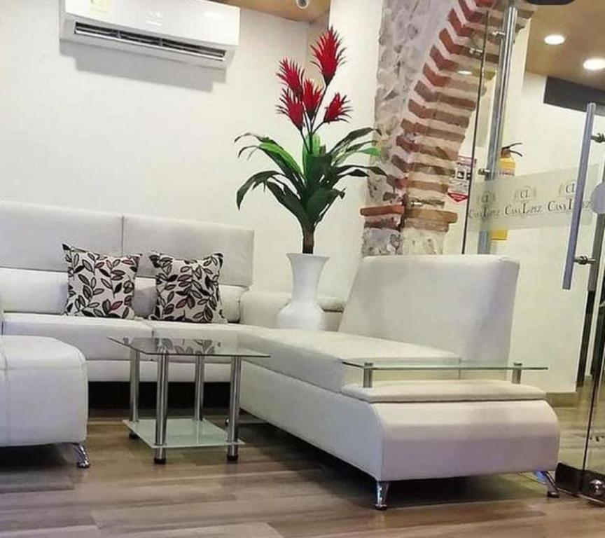 CL-6 HABITACION DOBLE EN GETSEMANI room 4