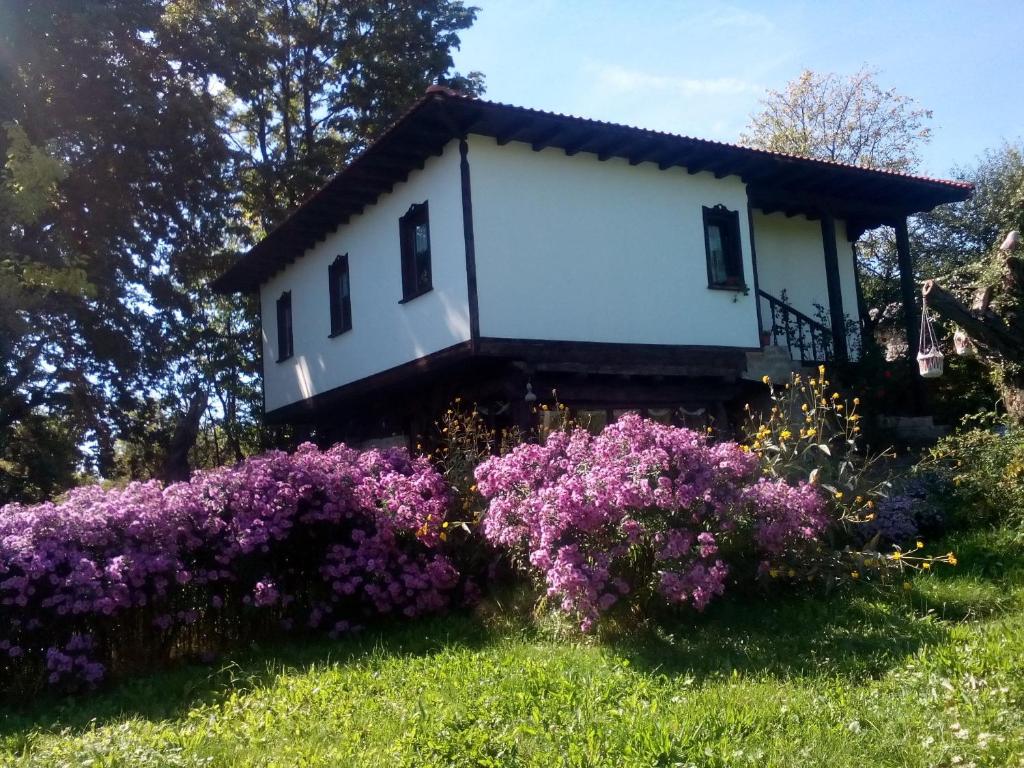 Complex Roden Kray room 2