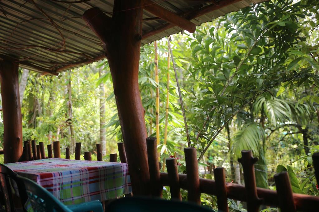 Cool Breeze View room 1