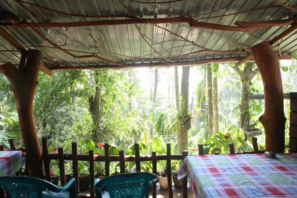 Cool Breeze View room 2