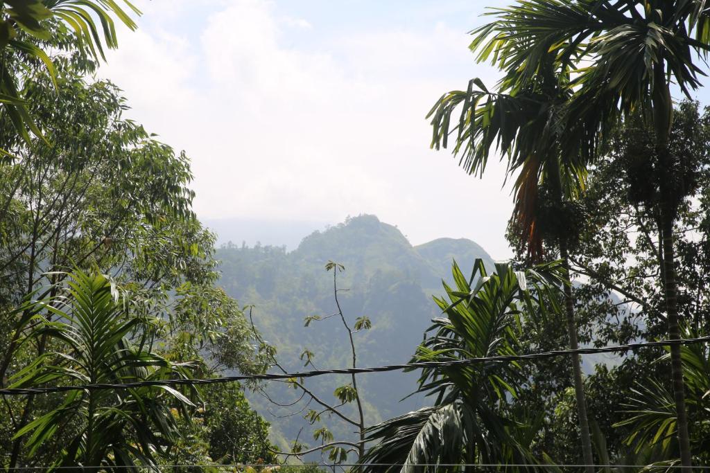 Cool Breeze View room 4