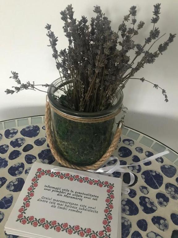 B&B Cununa Văilor room 3