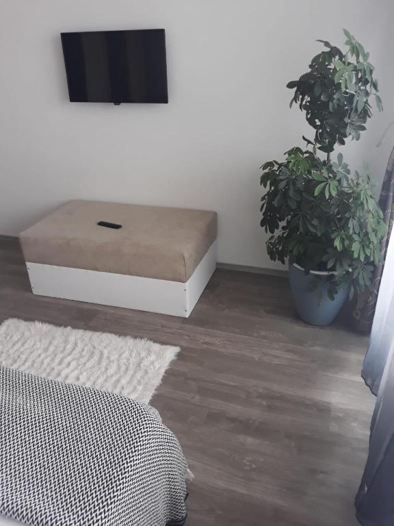 Studio Dedal Residence Năvodari room 4