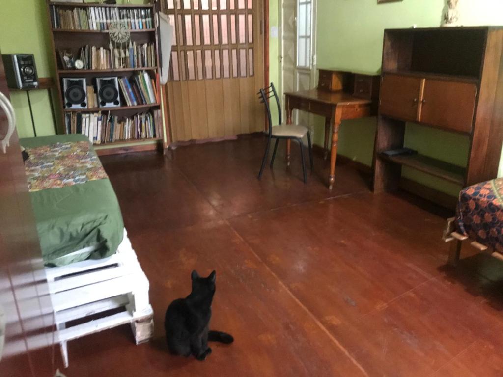 Departamento Tranquilo room 5