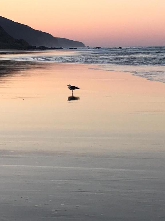 Dolphin's Nook room 3