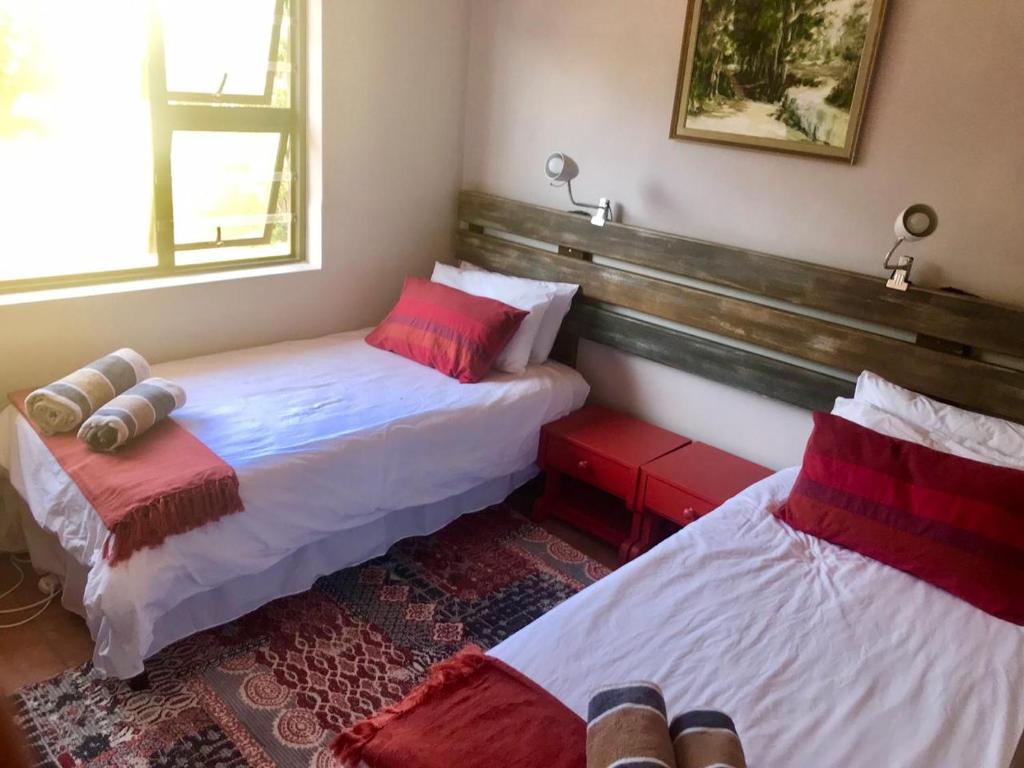 Dolphin's Nook room 5