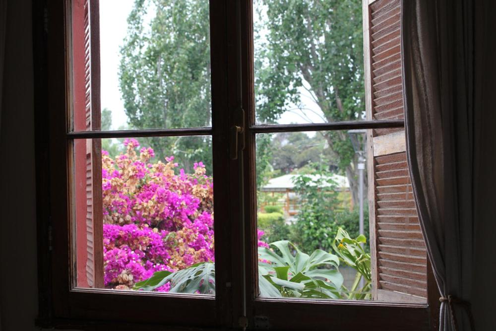 DOWNTOWN BED AND BREAKFAST room 3