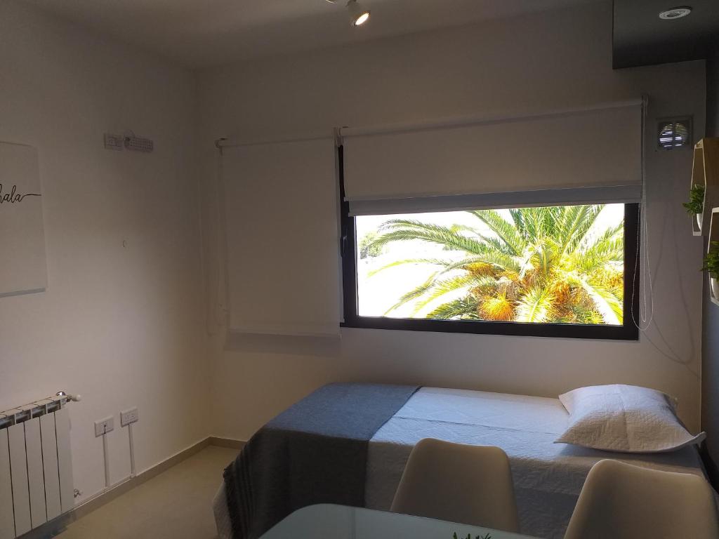 Dpto Genesis room 1