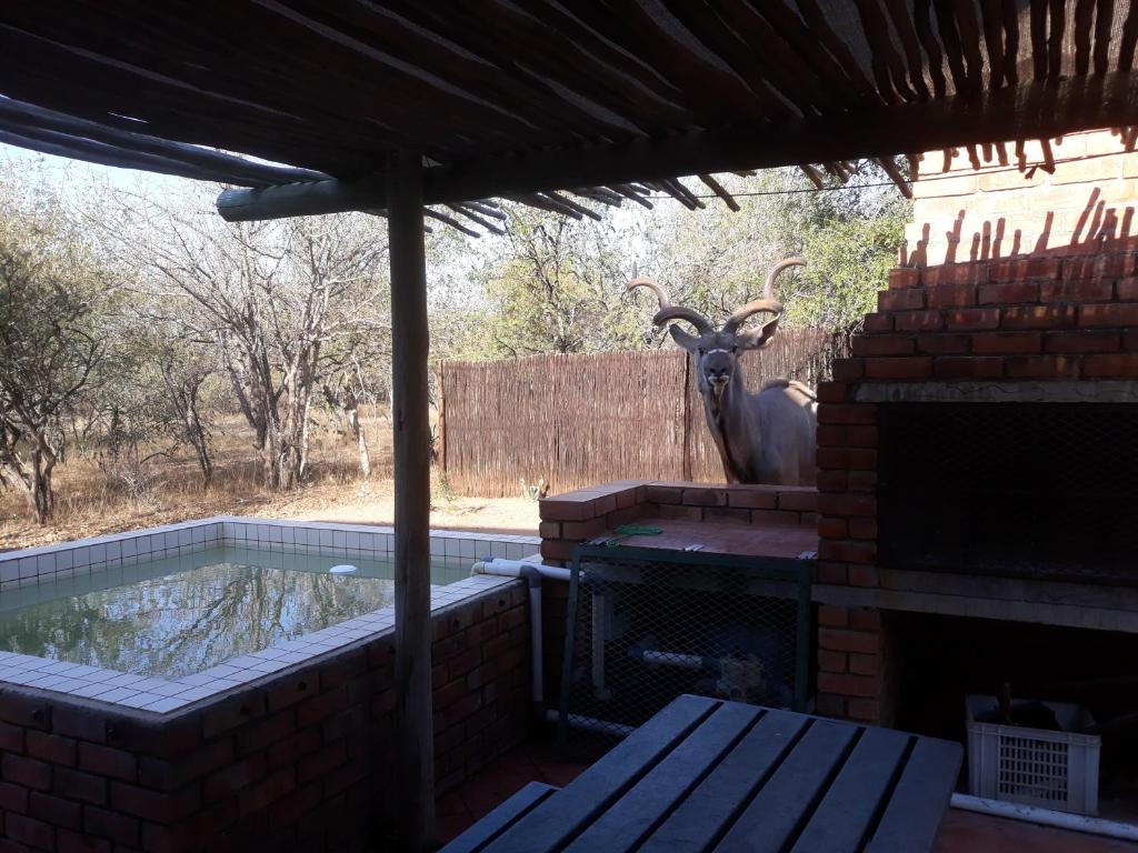 Eagle's Crest room 3