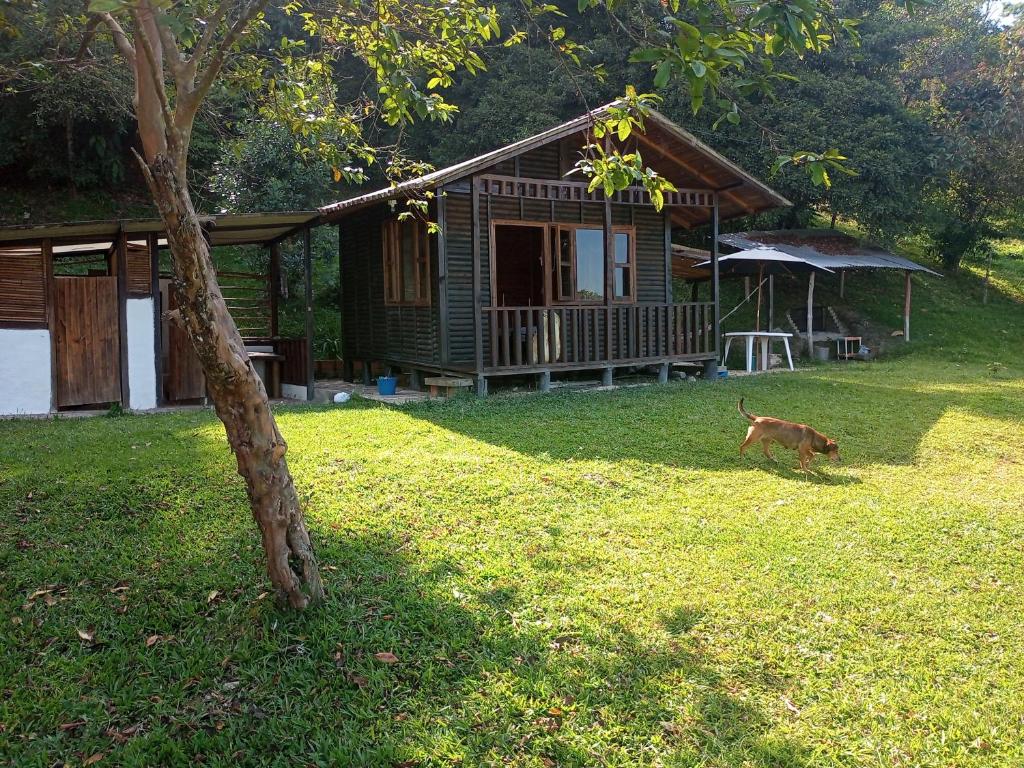 Eco-Cabañas Altozano room 1