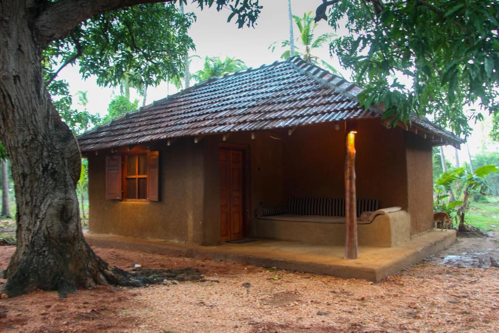 Eco Village Kalundewa room 4