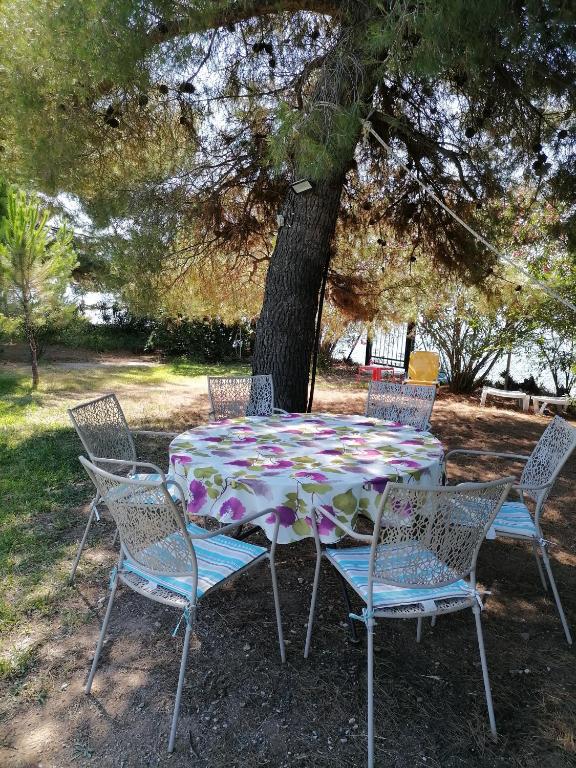 Eleni Beach Apartments room 4