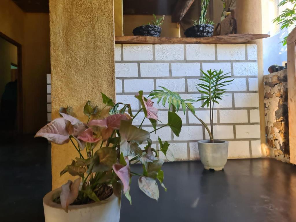 Ella Brown House Homestay room 3
