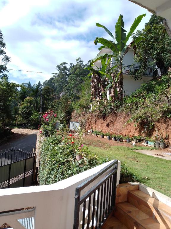 Ella Cozy Nest room 2