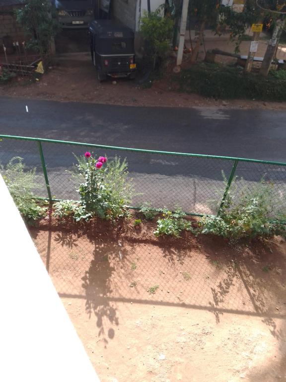 Ella Cozy Nest room 4