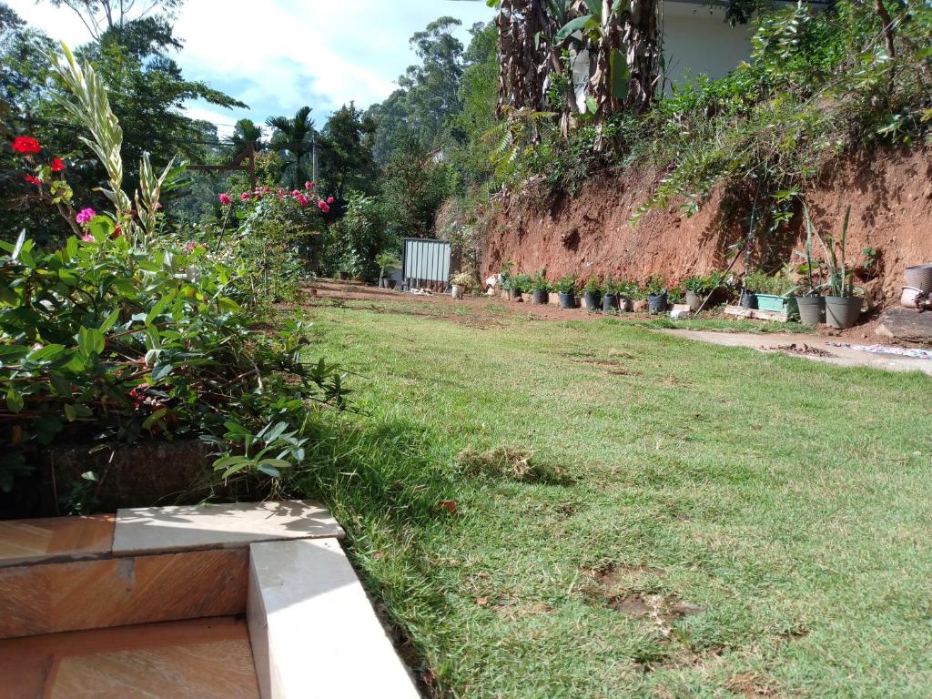 Ella Cozy Nest room 5