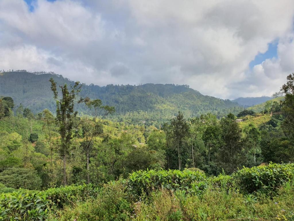 Ella Secret Paradise room 4