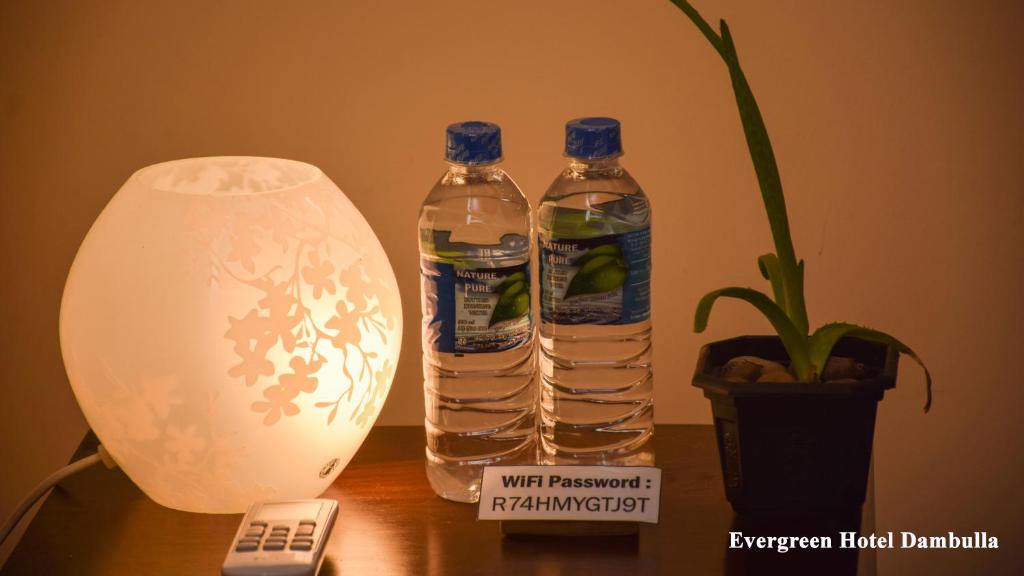 Evergreen Hotel Dambulla room 4